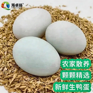 海卓扬生鸭蛋60g-70g农家散养生鸭蛋正宗新鲜河边放养鲜生
