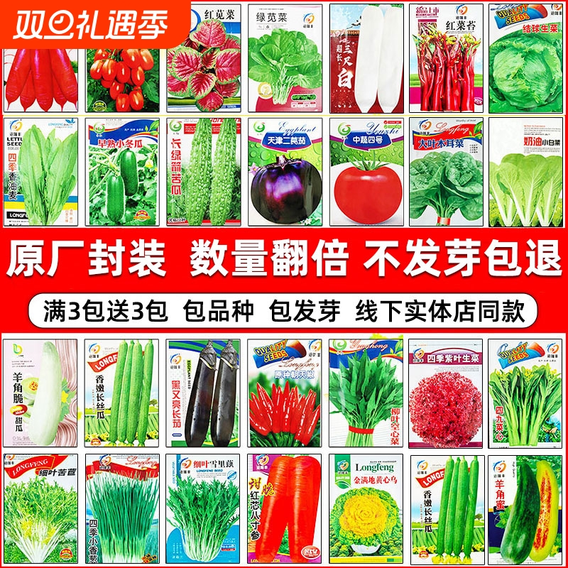 蔬菜种子四季播种盆栽阳台种庭院香菜生菜菠菜小葱白菜耐高温易种