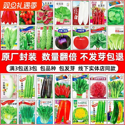 四季蔬菜种子阳台种|千人回购