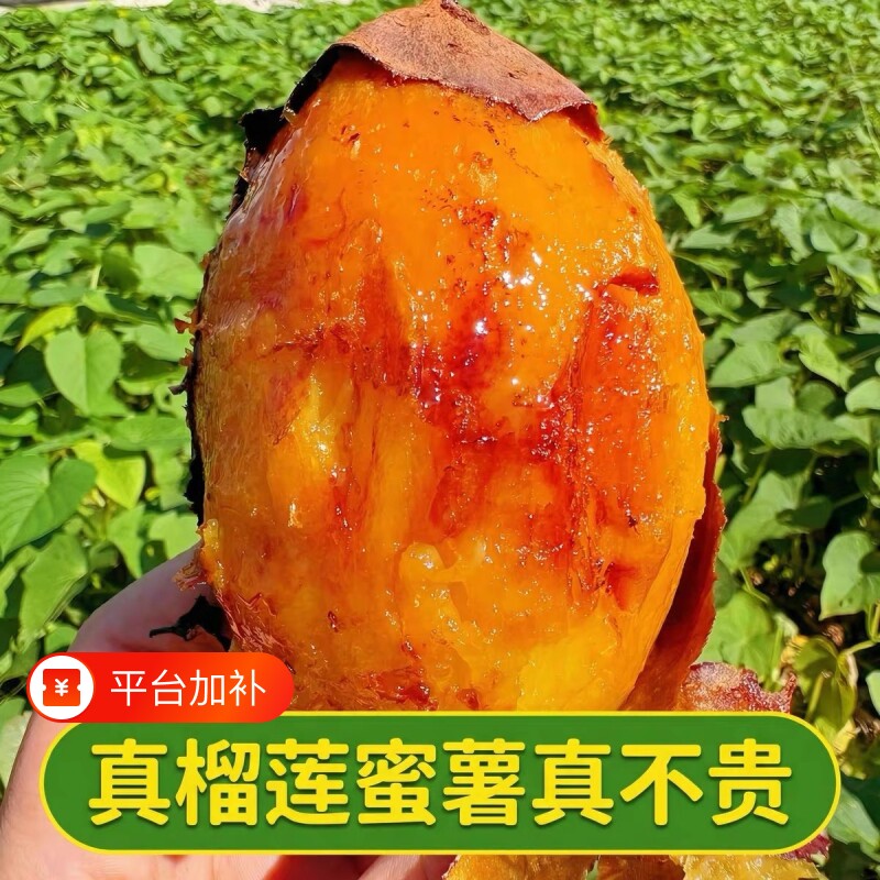 正宗云南榴莲蜜薯黄心红薯新鲜流蜜黄金番薯现挖地瓜香甜紫薯整箱