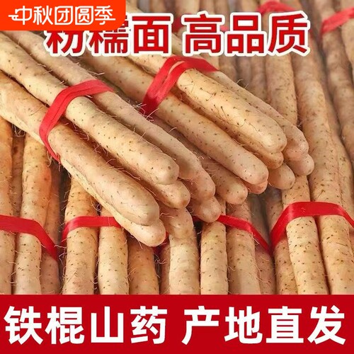 河北特产铁棍山药产地直发