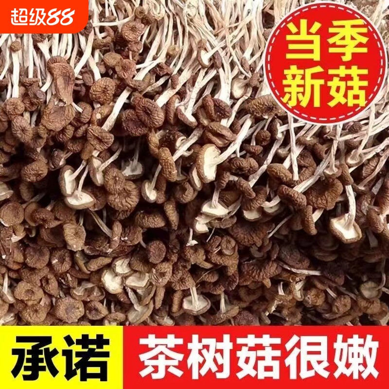 茶树菇干货新货净重古田不开伞鲜嫩农家茶薪菇无硫熏香菇