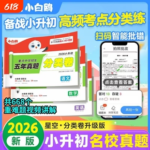 唯小白鸥小升初五年真题分类卷语文数学英语分班考试重点中学招生超详解人教版通用版试卷初中阅读考点名校星空提前知识点老师冲刺