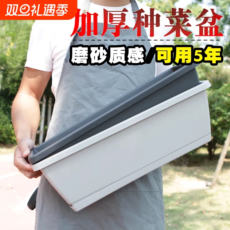 塑料简约阳台种菜花盆