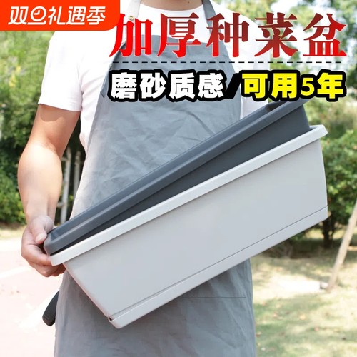 塑料简约阳台种菜花盆