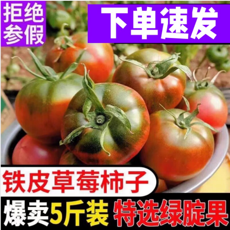 丹东正宗铁皮草莓柿子番茄5斤装特选新鲜多汁现摘顺丰包邮
