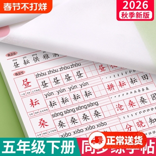 2026新版字帖五年级下册语文同步临摹练上册人教版小学生专用生字字帖钢笔每日一练正楷笔画笔顺练习册练字本写字贴硬笔书法楷书