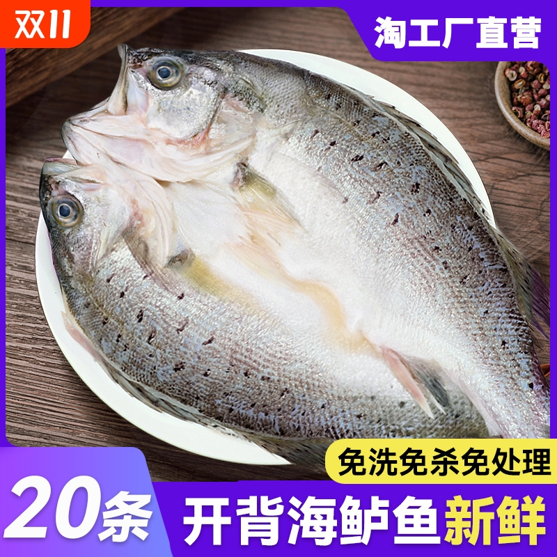 新鲜冷冻海鲈鱼|超4000次加购