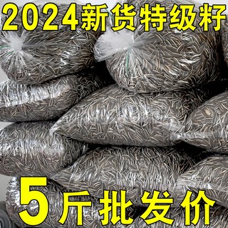 2024新货葵花籽五香奶油原味大颗粒现炒熟生瓜子散装零食批发