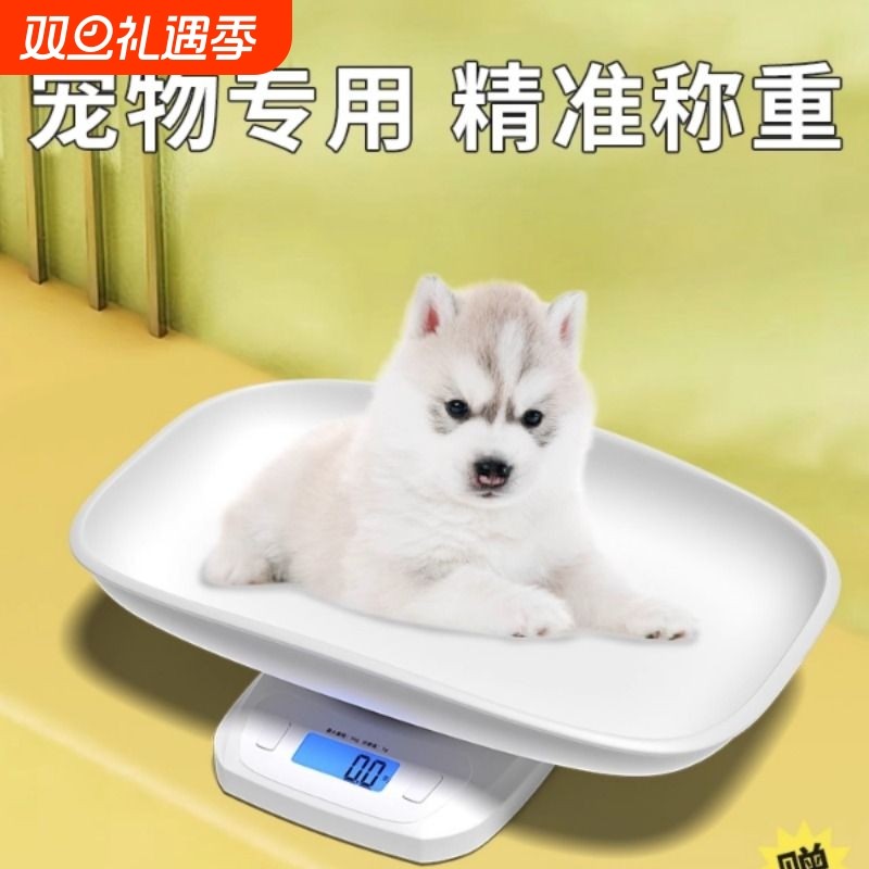 小白秤宠物体重秤猫咪狗狗称重器家用小动物称重婴儿秤宠物店精准