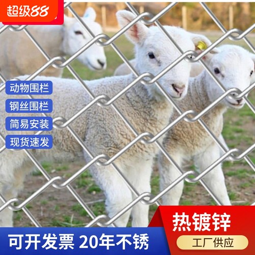 养殖勾花网养狗钢丝网菜园