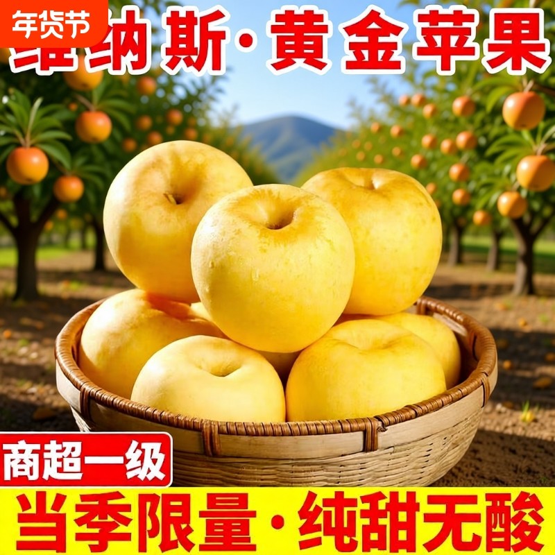 山东黄金维纳斯苹果新鲜水果脆甜现摘奶油糖心整箱当季应季,水产肉类/新鲜蔬果/熟食,苹果,淘宝优惠券,粉丝福利购,淘宝优惠卷