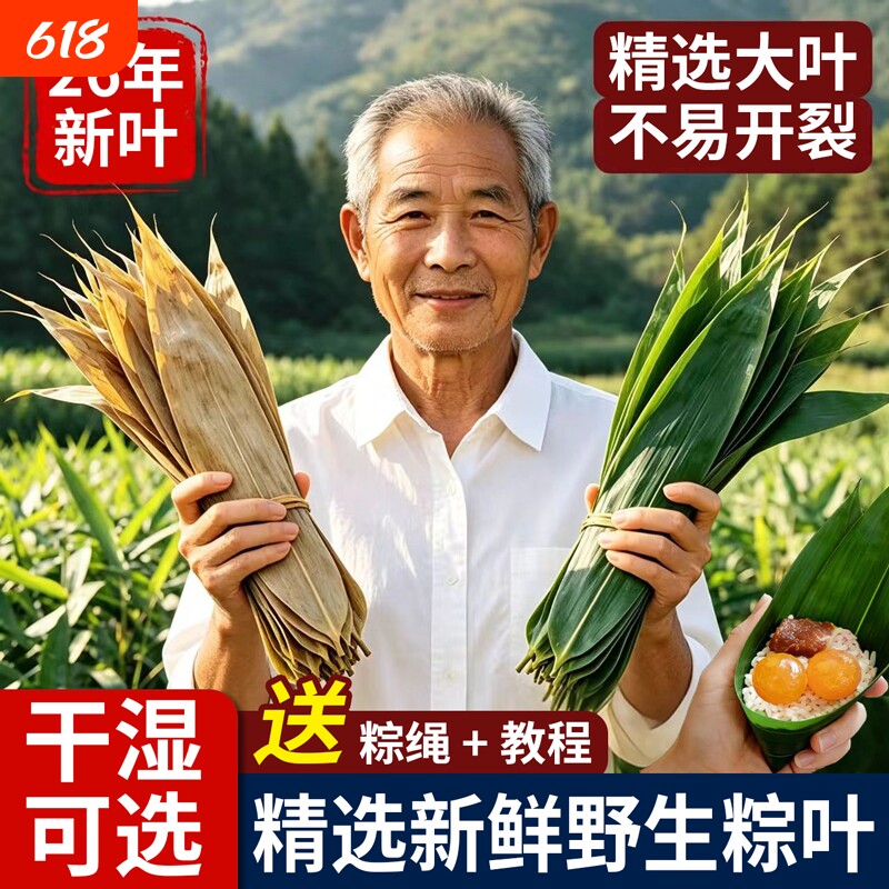 粽子叶棕叶新鲜大号新叶包粽子专用的叶子端午节商用批发干粽叶大