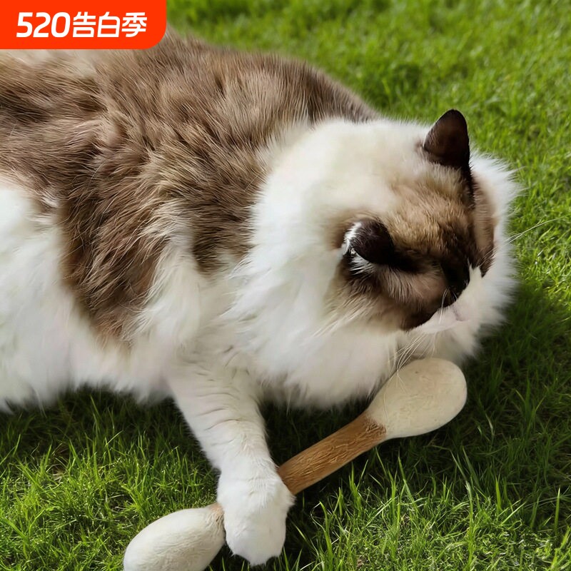大棉签羊毛毡逗猫棒猫玩具自嗨解闷神器猫薄荷猫咪磨牙棒宠物用品