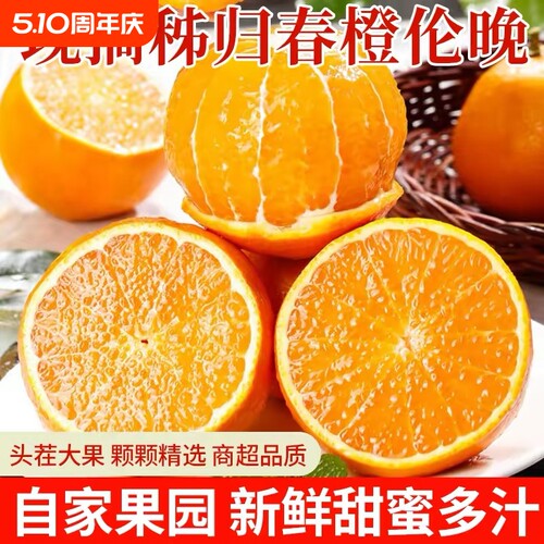 正宗湖北秭归伦晚脐橙旗官方旗舰店新鲜水果甜现摘橙子手剥春橙