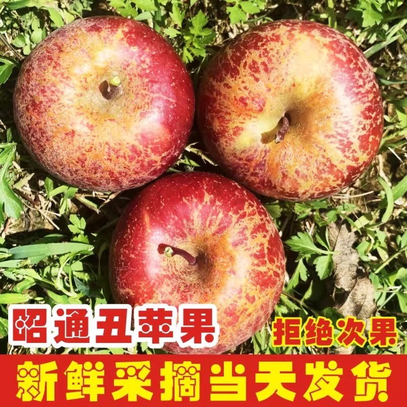 2026年云南昭通丑苹果新鲜昭通市冰糖心富士苹果水果当季整箱,水产肉类/新鲜蔬果/熟食,苹果,淘宝优惠券,粉丝福利购,淘宝优惠卷