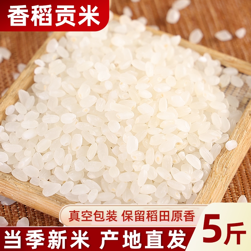 东北香稻大米当季新米圆粒米长粒香大米珍珠贡米黑龙江大米真空