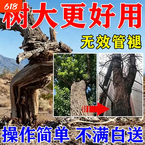 枯i死i专用药正品通用型杂草专用竹子腐燃根王腐蚀剂树园艺肥料S