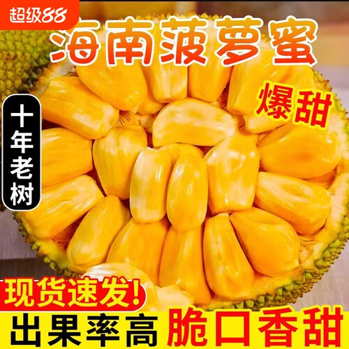 现摘海南菠萝蜜红黄肉木波萝干苞精品当季特产一整个大波罗蜜包邮