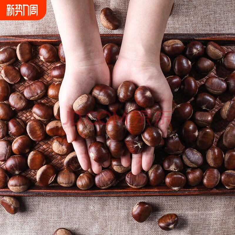 新鲜油栗子生板栗