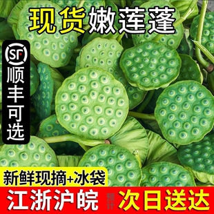 顺丰新鲜莲子4斤即食现摘水果莲蓬子甜嫩应当季蔬菜湿莲子米即食