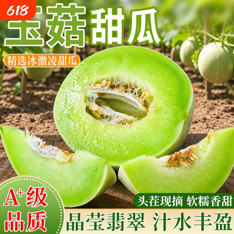 单县玉菇甜瓜 现摘现发山东四拼蜜瓜玉菇甜瓜黄金蜜瓜花蕾甜瓜