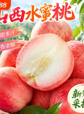 山西新鲜水蜜桃现摘毛桃蜜桃脆桃宝宝孕妇水果脆甜桃子产地采摘