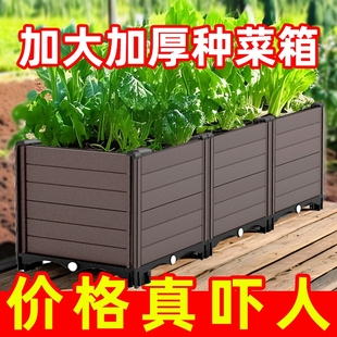 阳台种菜专用箱蔬菜种植箱花箱塑料家用花盆户外庭院大号菜盆树脂