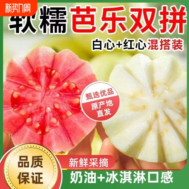 广西软糯红心白心芭乐双拼5斤新鲜水果番石榴脆甜软糯胭脂红巴乐