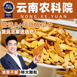 陈皮瓜子2025新货脱皮打手新疆甜橙味葵花籽大颗粒炒货零食现炒