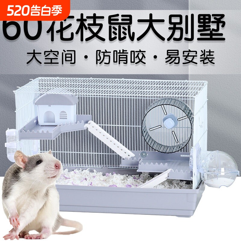 花枝鼠笼子专用特大号饲养箱金丝熊仓鼠60cm基础笼防啃咬两层超大