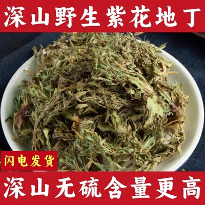 野生紫花地丁中药材正品犁头草新鲜干货地丁草泡茶泡水新货中草药