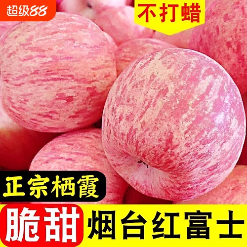 正宗山东烟台红富士苹果苹果新鲜水果脆薄皮栖霞苹果脆甜大果多汁