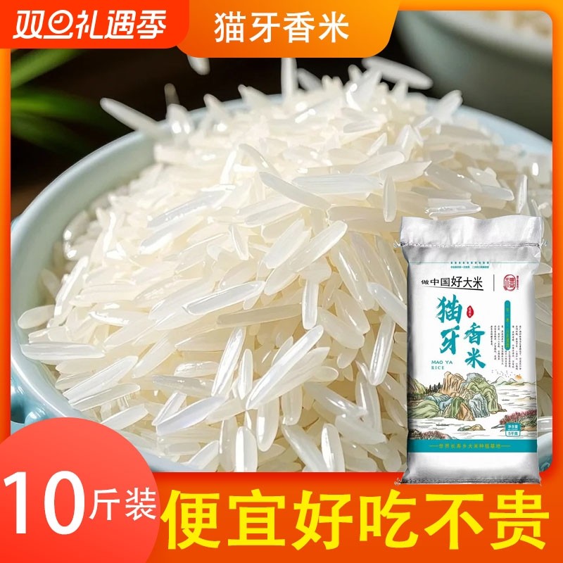一级猫牙米晚稻新米广西正宗长粒香米农家丝苗米细长大米象牙米