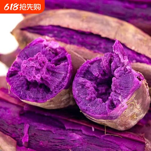 紫薯新鲜贵州紫罗兰沙地农家