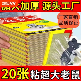 粘鼠板老鼠贴超强力粘大老鼠家用捕鼠抓鼠神器老鼠板沾胶之虎