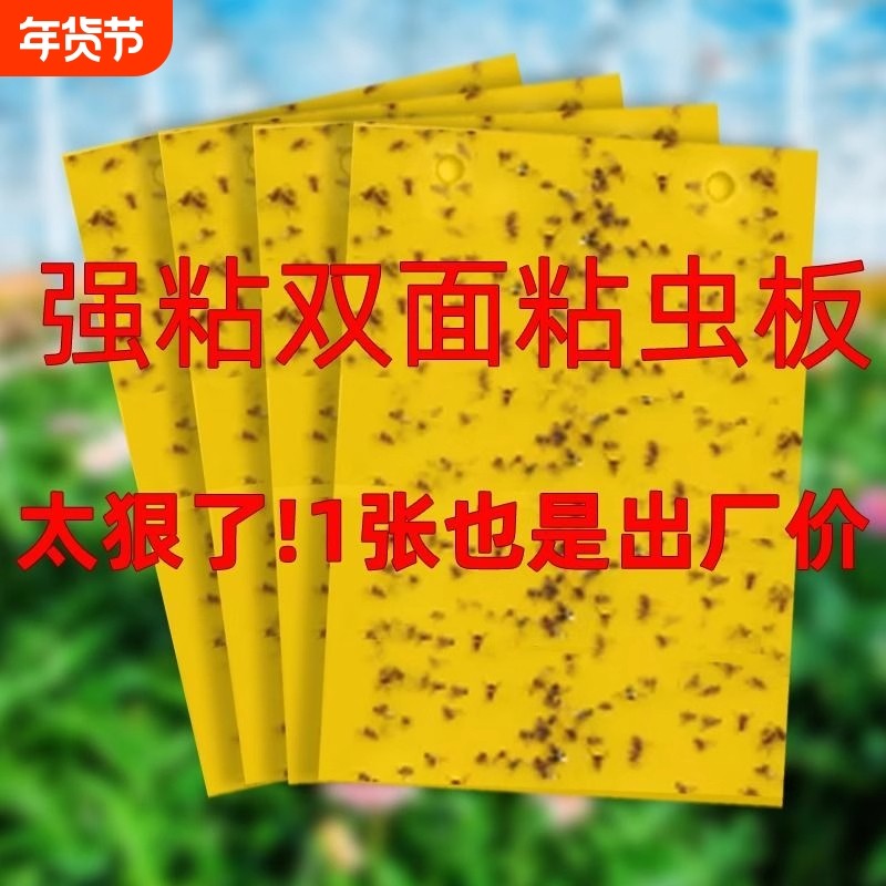 粘虫板大棚专用黄板双面果蝇诱捕器诱虫板贴纸农用家用花园,鲜花速递/花卉仿真/绿植园艺,其它园艺用品,淘宝优惠券,粉丝福利购,淘宝优惠卷