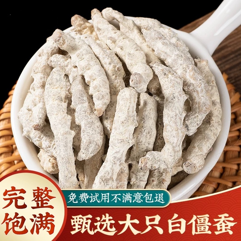 正品白僵蚕中药材天然白僵蚕粉白僵虫天虫姜蚕姜虫僵蚕七子白原料