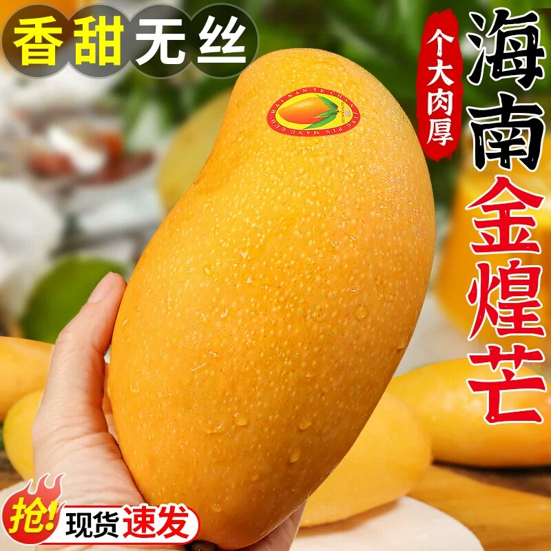 海南金煌芒芒果新鲜大果当季现摘水果整箱青甜心芒水仙芒9斤包邮