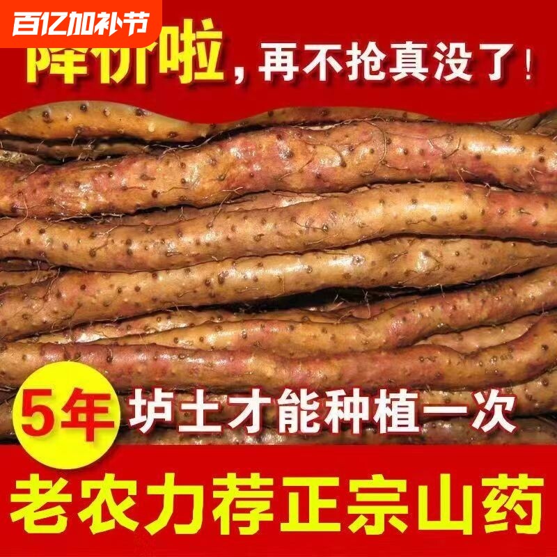 正宗铁棍山药新鲜铁杆怀山药农家山药铁棍批发中药材