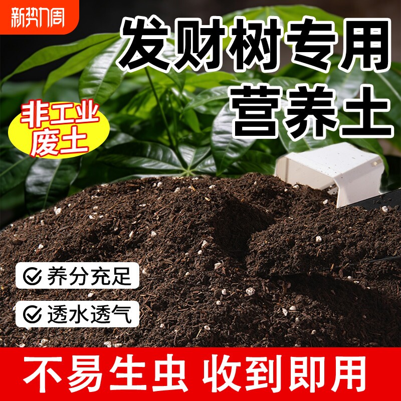 发财树专用土花土绿植种植土肥料专用肥土家用盆栽壤园艺营养土壤