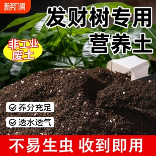 发财树专用土花土绿植种植土肥料专用肥土家用盆栽壤园艺营养土壤