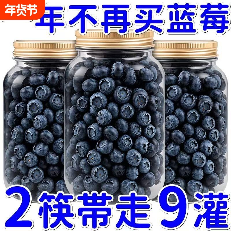 正宗蓝莓果干正品东北新货蓝莓干低脂儿童孕妇营养零食蓝梅干烘焙