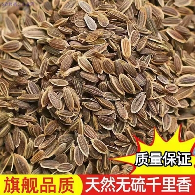 千里香 500g九里香百里香莳萝籽火锅卤菜香料 天然增香调味料调料