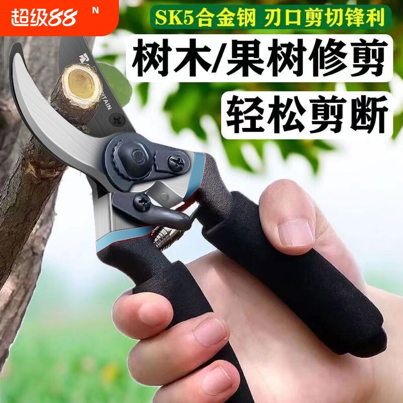 剪枝果树修枝剪刀园艺修剪树枝园林修花枝剪家用剪子摘果神器弹簧