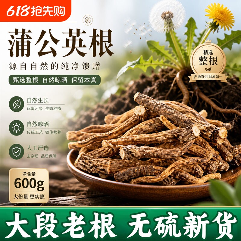 蒲公英根茶长白山正品泡水喝茶新鲜浦公英官方旗舰店散装养生茶