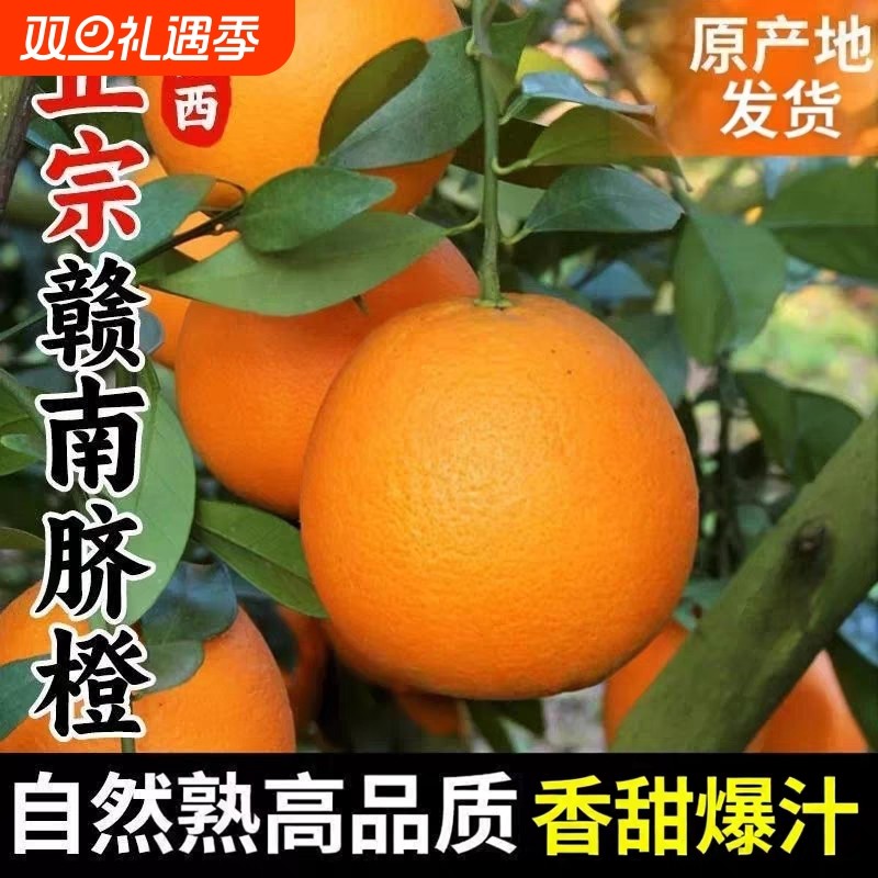 正宗江西赣南脐橙橙子18斤水果新鲜当应季整箱产地直发