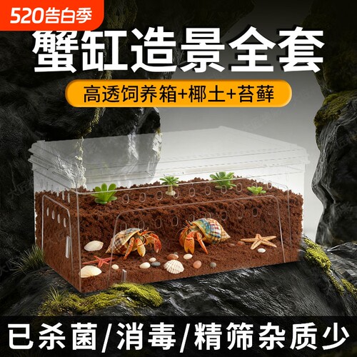 寄居蟹专用椰土椰砖海蟹螃蟹海沙爬宠饲养箱盒爬宠缸养殖造景套餐