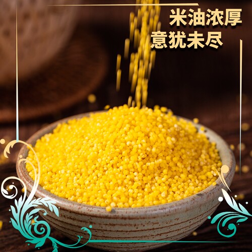 【皇稻吉】有机黄小米450g煮粥新鲜米精品糯小米粗粮五谷杂粮粥米