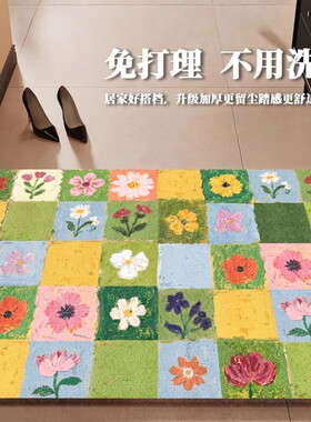 2026新款入户门地垫进门口地毯丝圈家用门垫玄关防滑耐脏蹭土脚垫